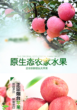 苹果   水果   红富士苹果详情页