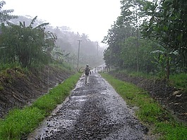 瓢泼大雨,雨季,萨摩亚