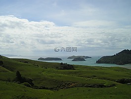 离岛,新西兰,绿色
