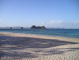 美丽的海滩,新西兰,海滩