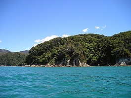 新西兰,海,水