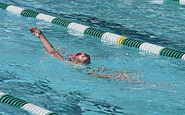 年轻的游泳运动员,仰泳,游泳