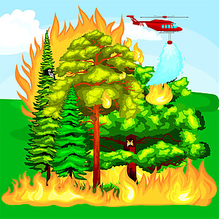 树林火灾图片2