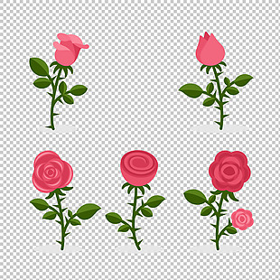 扁平风格红玫瑰插图免抠png透明图层素材