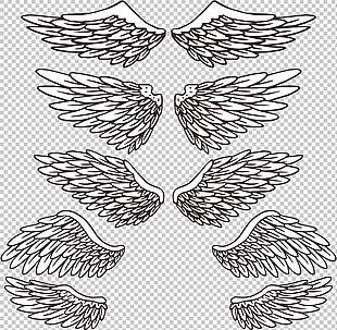 写实风格鸟类翅膀免抠png透明图层素材