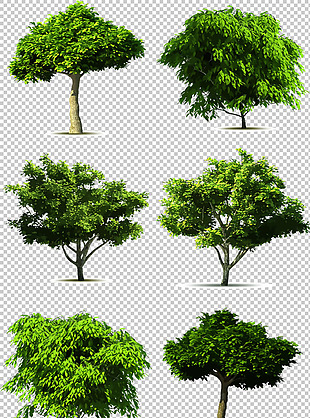 写实风格大树免抠png透明图层素材