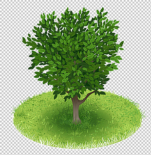 写实大树免抠png透明图层素材