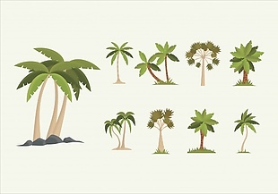 棕榈树的集合