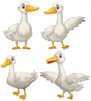 四种不同动作的鸭子