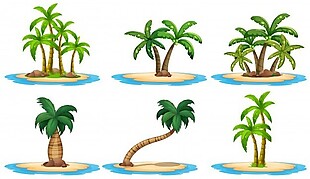 一组岛屿的插图