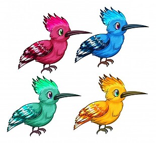 不同颜色鸟的插图