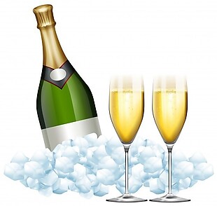 两杯香槟和一瓶冰块插图