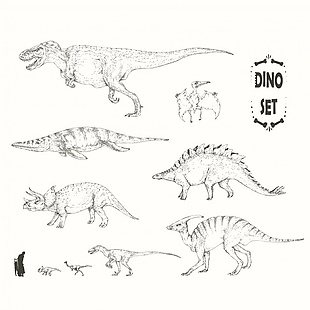 恐龙插画合集