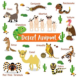 沙漠动物卡通卡通形象矢量素材