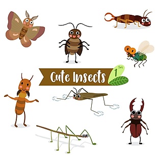 昆虫卡通形象矢量素材