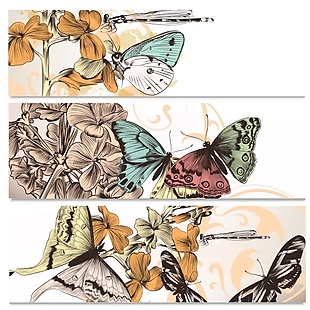 鲜花和蝴蝶的剪影
