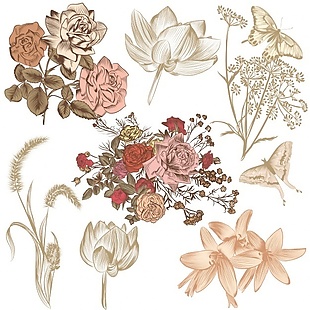 手绘古典花卉的收藏
