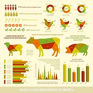 农业信息图表元素与不同的颜色