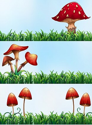 蘑菇和草