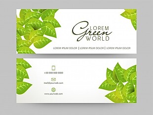 绿色世界网站标题或横幅设置新鲜叶子，生态概念。