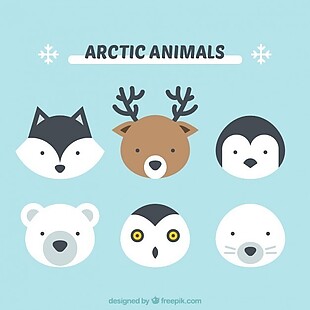 可爱的北极动物