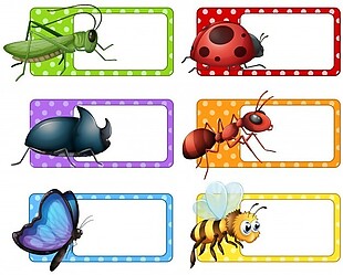 方形标签和许多昆虫插图