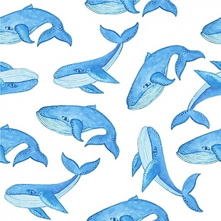 水彩画的鲸鱼图案