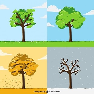 不同季节的树