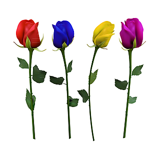 4朵彩色玫瑰花矢量