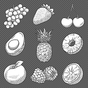 手绘黑白水果插画图标免抠png透明素材