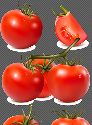 新鲜西红柿插图免抠png透明图层素材