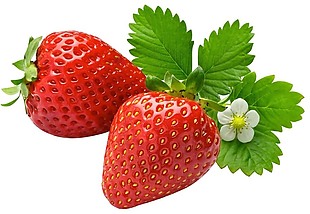 草莓插画素材