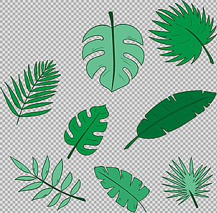 手绘各种绿色叶子免抠png透明图层素材