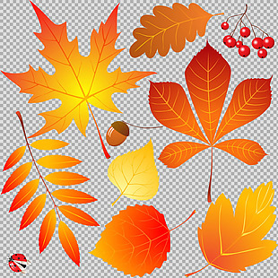 手绘各种红色叶子免抠png透明图层素材