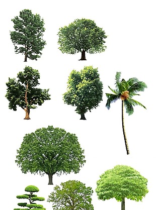 树抠图素材