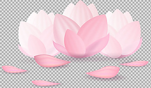 粉红色荷花莲花免抠png透明图层素材