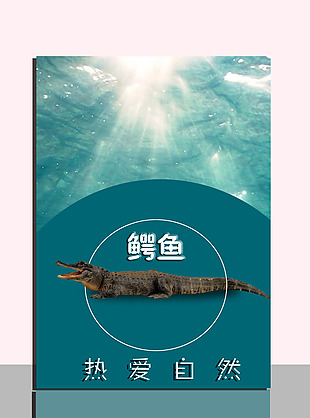 鳄鱼公益宣传海报