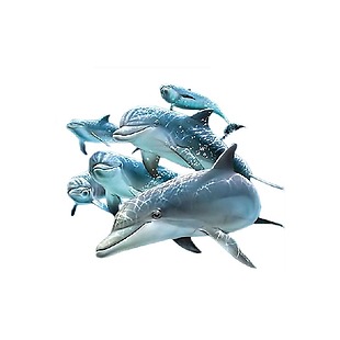蓝色海豚元素