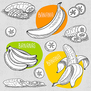速写手绘香蕉插画