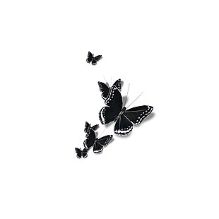 黑色蝴蝶元素