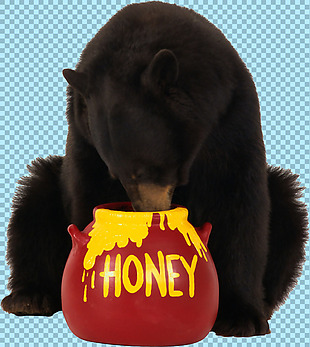在吃蜂蜜的熊图片免抠png透明图层素材