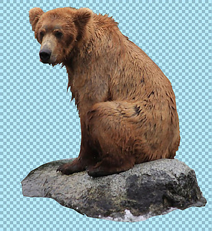 坐在石头山的熊图片免抠png透明图层素材