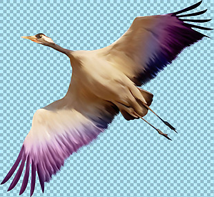 彩色飞翔的鸟图片免抠png透明图层素材