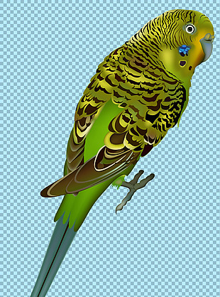 绿色小鸟图片免抠png透明图层素材