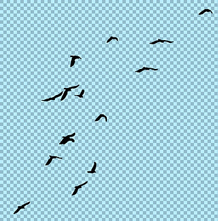 天空飞翔的一群鸟图片免抠png透明素材