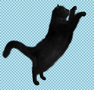 黑色剪影猫图片免抠png透明图层素材