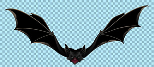 黑色飞翔的蝙蝠图片免抠png透明图层素材