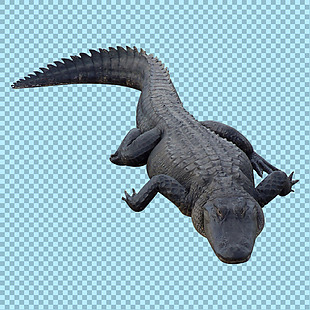 黑色鳄鱼图片免抠png透明图层素材