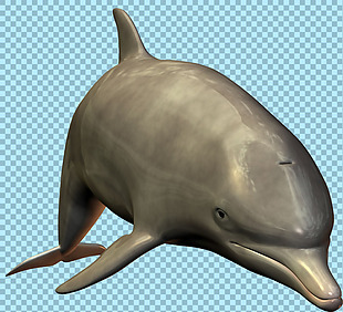 一只灰色大海豚图片免抠png透明图层素材