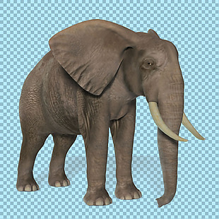 站着的长鼻子大象免抠png透明图层素材